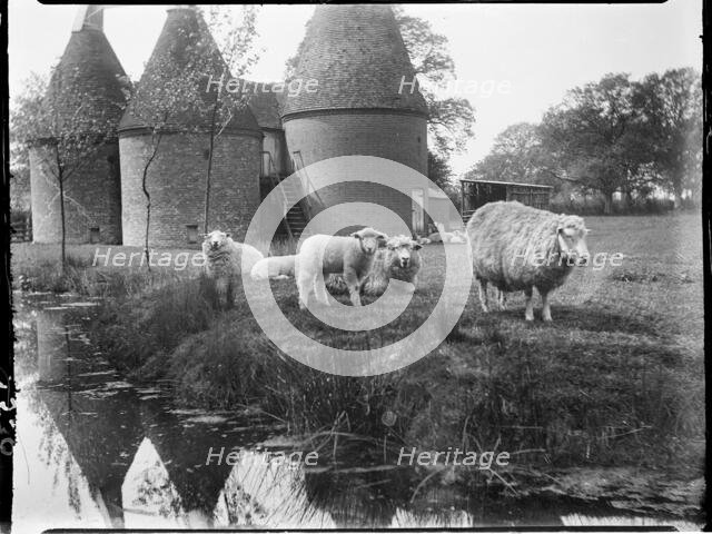 Luckhurst, Lower Road, Stone-cum-Ebony, Ashford, Kent, 1926. Creator: Katherine Jean Macfee.