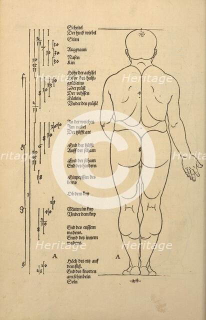 Illustration from the Four Books on Human Proportion, 1528. Creator: Dürer, Albrecht (1471-1528).