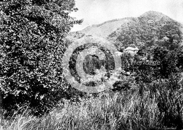 The Island of Montserrat (West Indies) - Manager's House, 1895. Creator: Unknown.