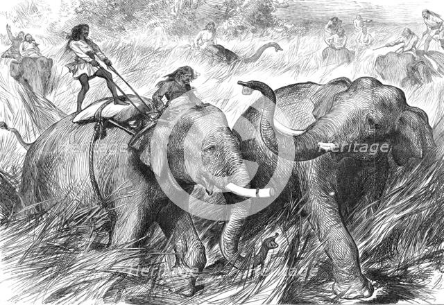 Tame Elephants hunting a Wild Elephant, from a sketch by one of our special artists in India,  1876. Creator: Unknown.