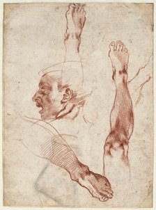 Male head in profile, studies of limbs, 1511. Creator: Buonarroti, Michelangelo (1475-1564).