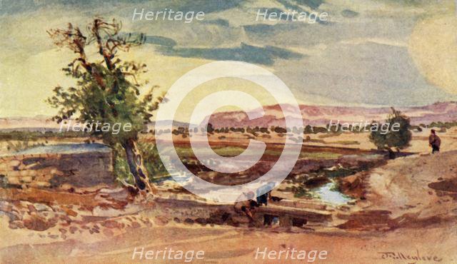 'The Stream Flowing from the Spring of Elisha', 1902. Creator: John Fulleylove.