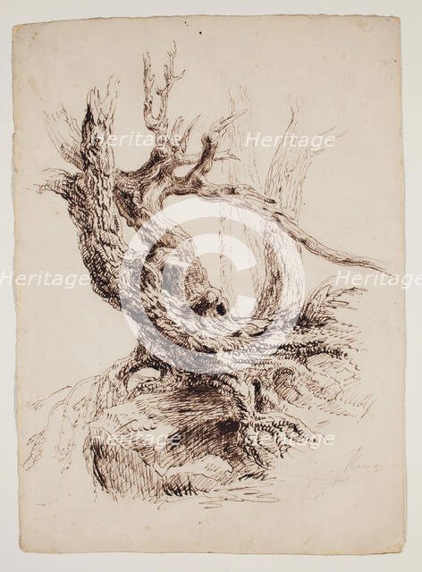 Gnarled Tree Trunk, c1826. Creator: Thomas Cole.