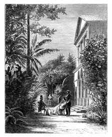 The garden of a city house, 19th century.Artist: H Stock