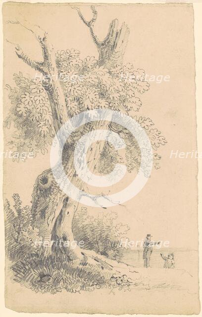 Tree Near the Shore, c. 1830-1835. Creator: James Goodwyn Clonney.
