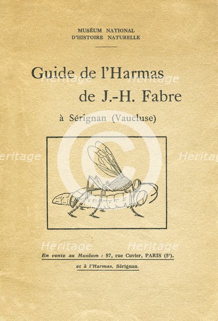 Cover of a booklet on entomology, 1933. Artist: Unknown