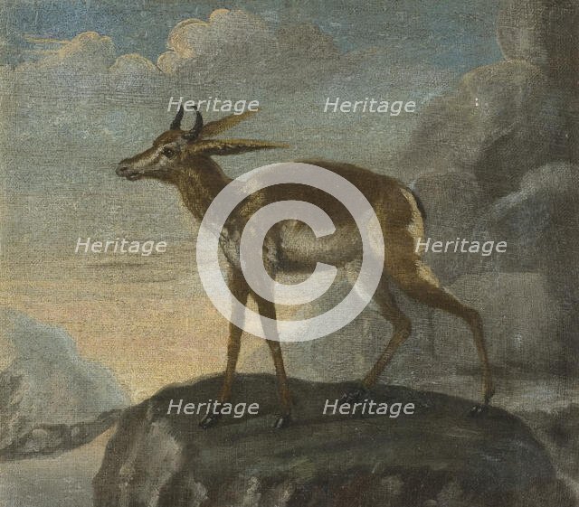 Bengal deer, late 17th-early 18th century. Creator: David Kock.