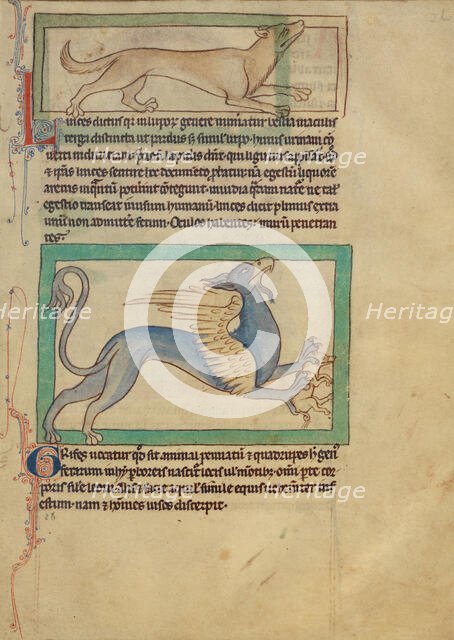 A Lynx; A Griffin; Northumberland Bestiary, about 1250-1260. Creator: Unknown.