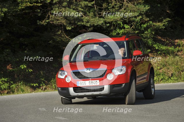 Skoda Yeti 2009. Artist: Simon Clay.