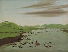 Buffalo Herds Crossing the Upper Missouri, 1832. Creator: George Catlin.