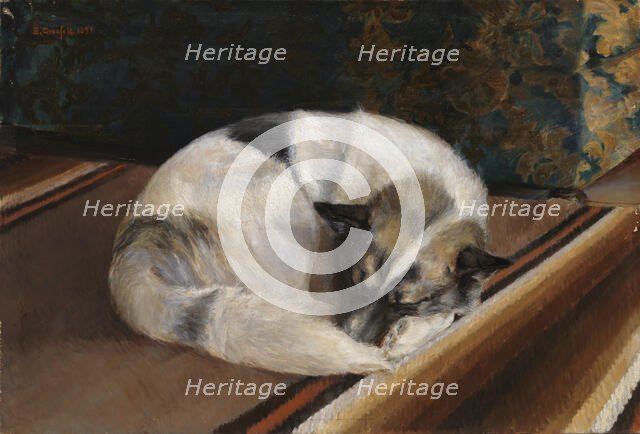 Reposing Dog, 1894. Creator: Sigrid Granfelt.