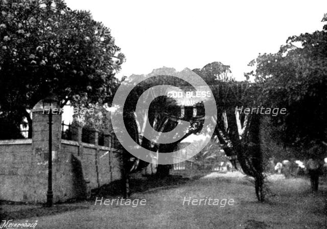 Arrival, and Subsequent Death, of Lady Carter at Lagos: triumphal arch opposite Christ Church, 1895. Creator: George Meisenbach.