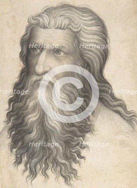 Head of a Bearded Man, 1360-80. Creator: Anon.