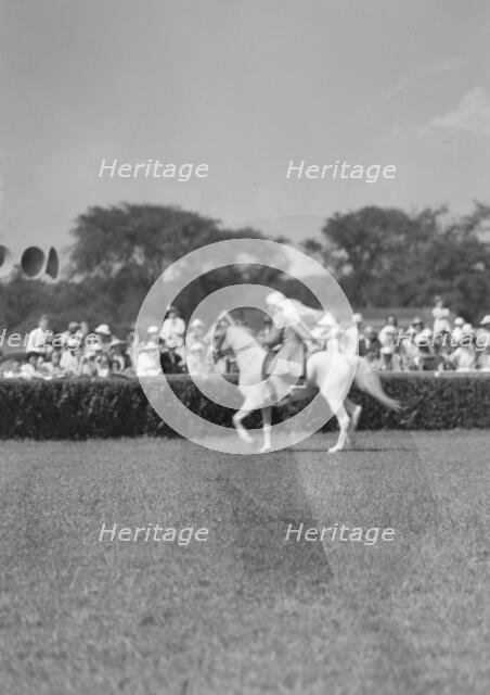 Horse show or show jumping event, between 1911 and 1942. Creator: Arnold Genthe.