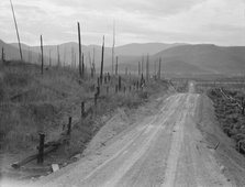 Shows character of cut-over area, Bonner County, Idaho, 1939. Creator: Dorothea Lange.