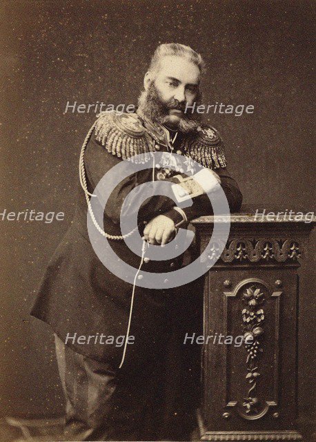 Portrait of Count Nikolay Vladimirovich Adlerberg (1819-1892), 1874.