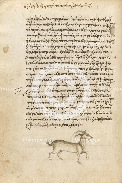 A Goat, 1510-1520. Creator: Unknown.