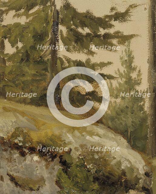 Metsännyplä, sketch, (forest, sketch),  c1890s. Creator: Albert Edelfelt.