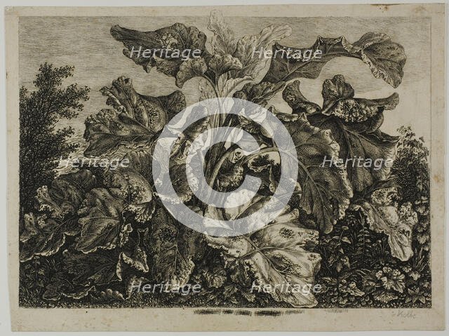 Vegetable Sheet, 1800/28. Creator: Carl Wilhelm Kolbe the elder.