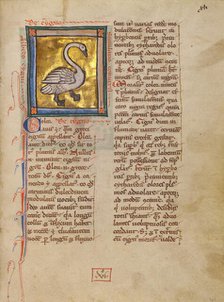 A Swan; Bestiary, about 1270. Creator: Unknown.