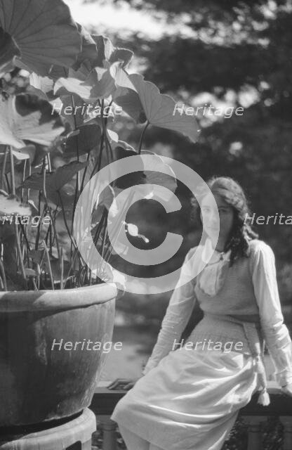 Unidentified woman seated in a garden next to a large potted plant, between 1917 and 1934. Creator: Arnold Genthe.