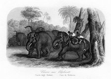 Elephant hunt, India, c1840. Artist: Unknown