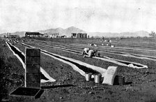 Fruit-Growing in California: drying prunes, 1895. Creator: George Meisenbach.