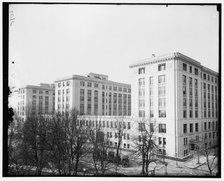 Interior Dept, between 1910 and 1920. Creator: Harris & Ewing.