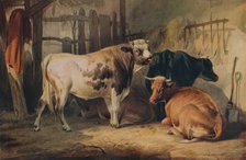 'A Bull and three Cows in a Stable', c1856. Artist: Thomas Sidney Cooper.