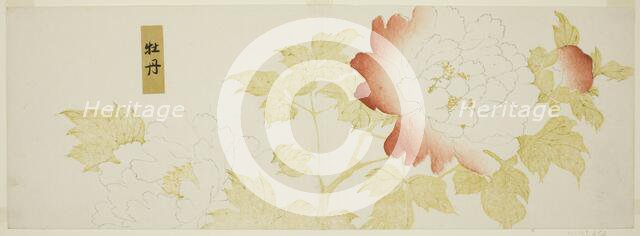 Peonies, Japan, n.d. Creator: Kitagawa Utamaro.