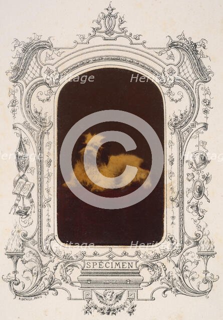 Les Chiens, 1860s. Creator: Pierre-Louis Pierson.