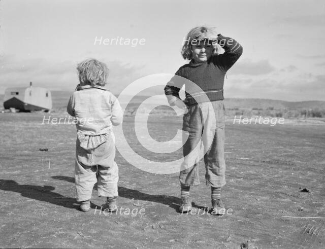 Migrant children, FSA mobile camp, Merrill, Klamath County, Oregon, 1939. Creator: Dorothea Lange.