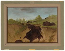 Grizzly Bears Attacking Buffalo, 1861/1869. Creator: George Catlin.