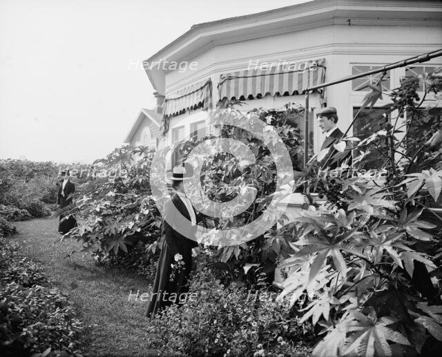 Foliage and east window of officers' club, National Cash Register [Company], Dayton, Ohio, (1902?). Creator: William H. Jackson.