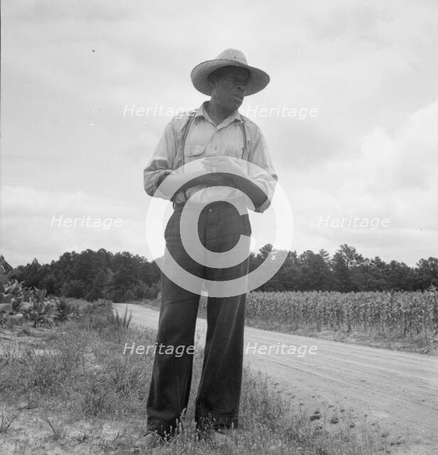 Untitled, 1935-1942. [African-American man near a field of corn]. Creator: Unknown.