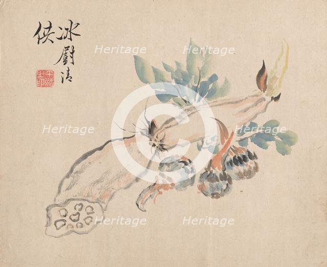 Lotus Root and Adder's Tongue. Creator: Tsubaki Chinzan (Japanese, 1801-1854).