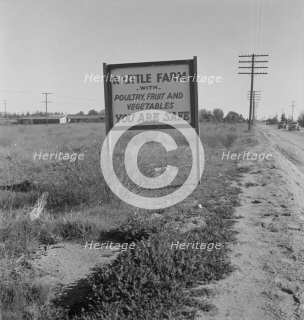 Real estate sign along the highway, Riverside County, California, 1937. Creator: Dorothea Lange.