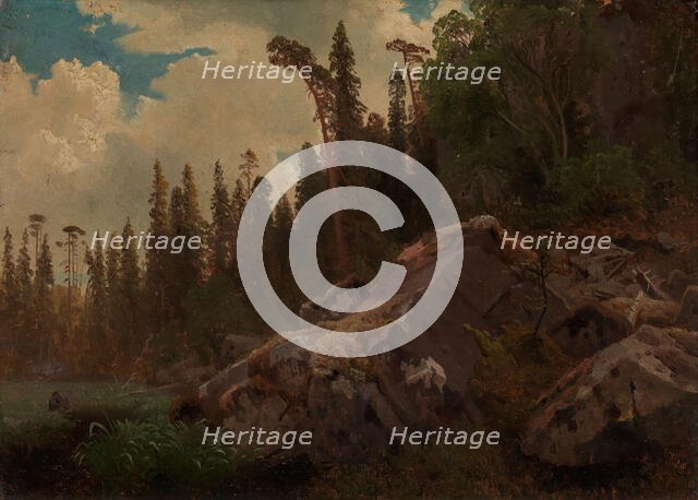 Landscape Study with Trees and Rocks, probably 1851. Creator: Herman August Cappelen.