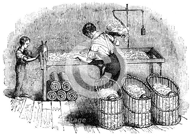 Cotton manufacture, c1845. Artist: Unknown