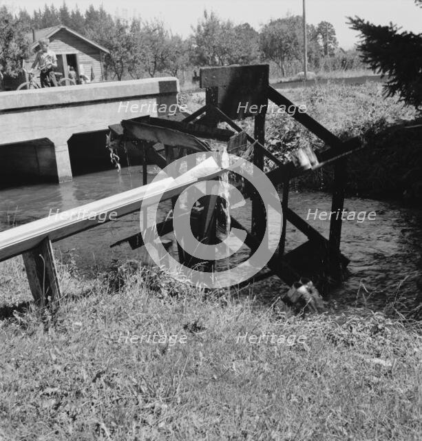 Possibly: Waterwheel for field irrigation..., north of West Stayton, Marion County, Oregon, 1939. Creator: Dorothea Lange.