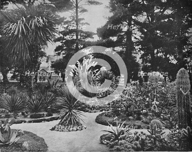 'Arizona Garden. Monterey, Cal.', c1897. Creator: Unknown.