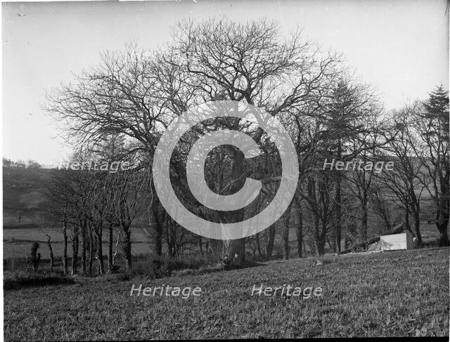 Stone bridge over river unknown, possibly Chester England, c1900s. Creator: Robert Augustus Henry L'Estrange.