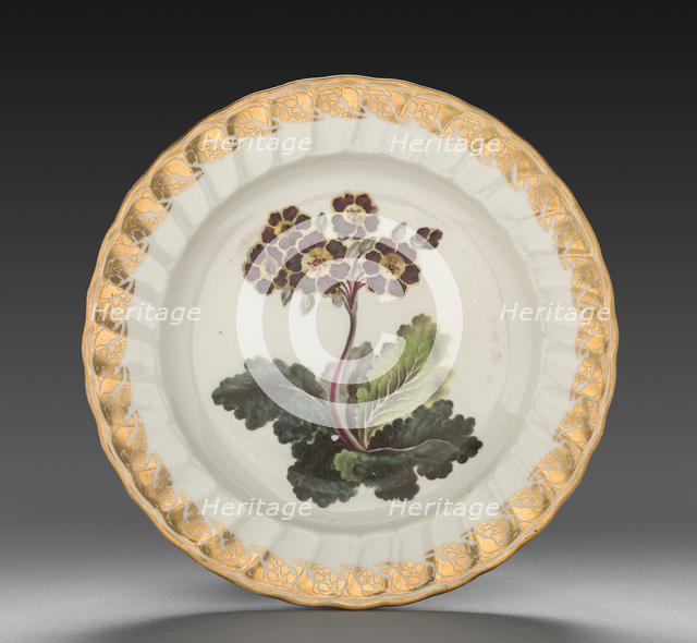 Plate from Dessert Service: Polyanthus, c. 1800. Creator: Derby (Crown Derby Period) (British).