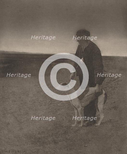 The Poacher-A Hare in View, 1888. Creator: Dr Peter Henry Emerson.
