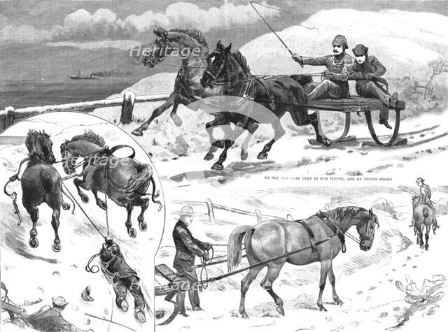 'Sledging in the Isle of Bute', 1886.  Creator: Unknown.