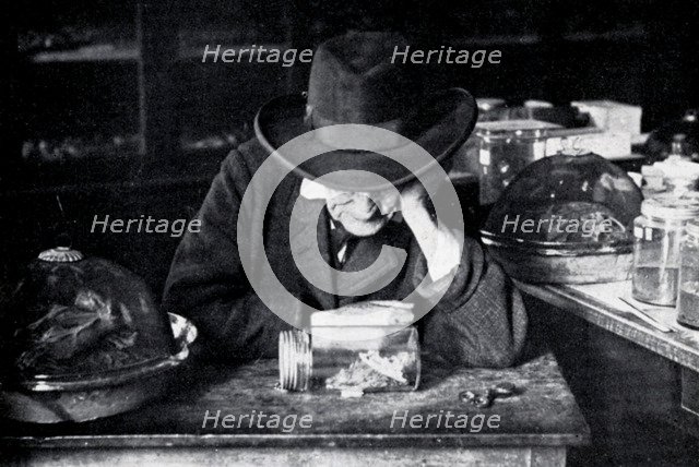 Jean-Henri Fabre, French entomologist, c early 20th century. Artist: Unknown