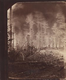 The Wilderness Battlefield, 1865-67.  Creator: Unknown.