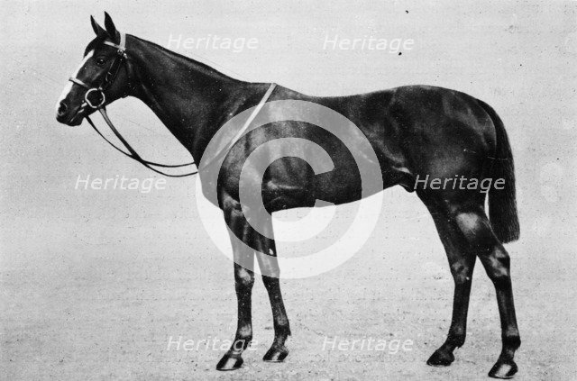 'Bachelor's Double', 1911. Artist: Unknown.