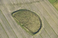 An early Iron Age enclosed settlement earthwork on Cow Down, Wiltshire, 2023. Creator: Damian Grady.