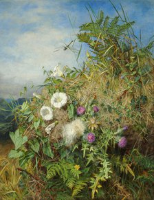 Wild flowers at the corner of a cornfield. Creator: Mutrie, Martha Darley (1824-1885)